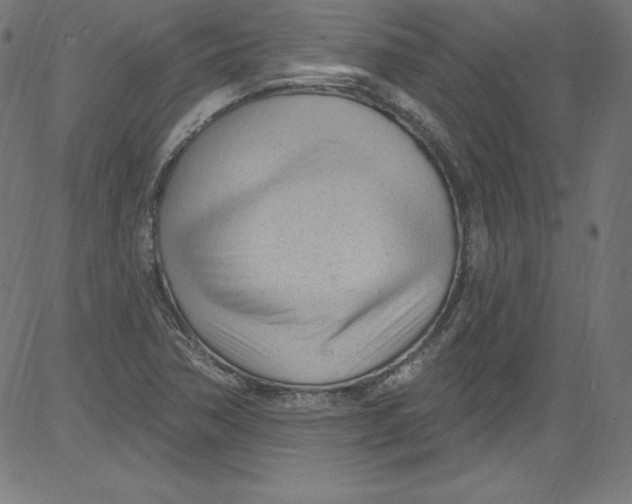X0000081401362200702020310
