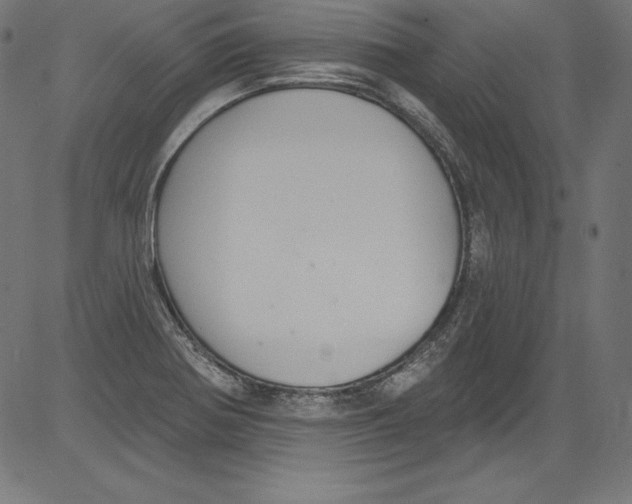X0000081401370200702020310