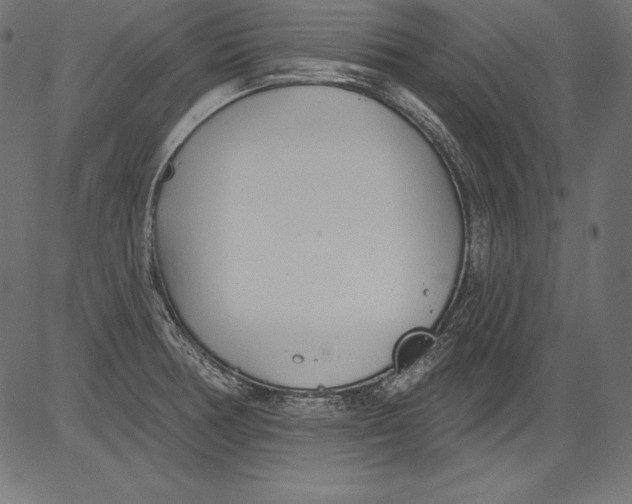 X0000081401378200702020310