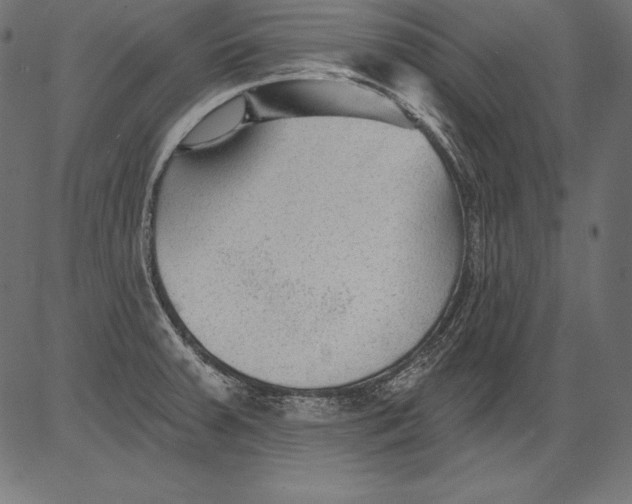 X0000081401379200702020309