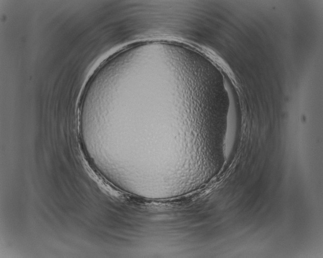 X0000081401380200702020309