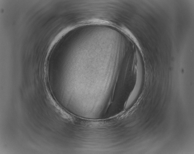 X0000081401381200702020309
