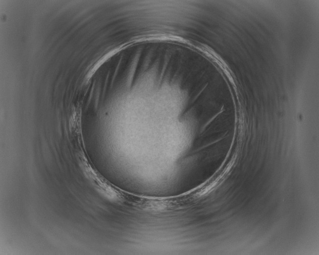 X0000081401385200702020309