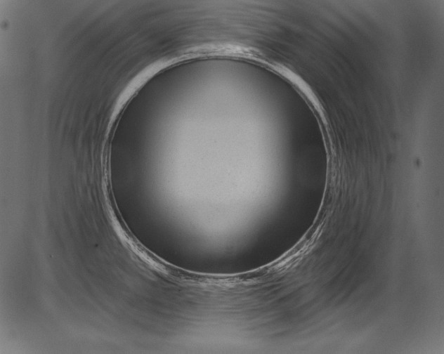 X0000081401389200702020309