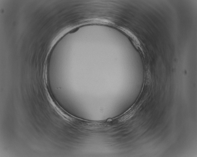 X0000081401391200702020309