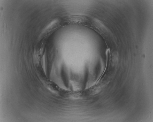X0000081401394200702020309