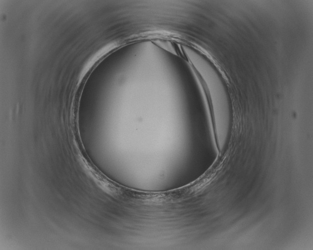 X0000081401426200702020309