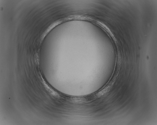 X0000081401433200702020309