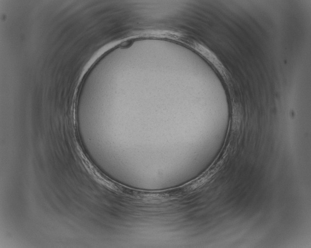 X0000081401436200702020309