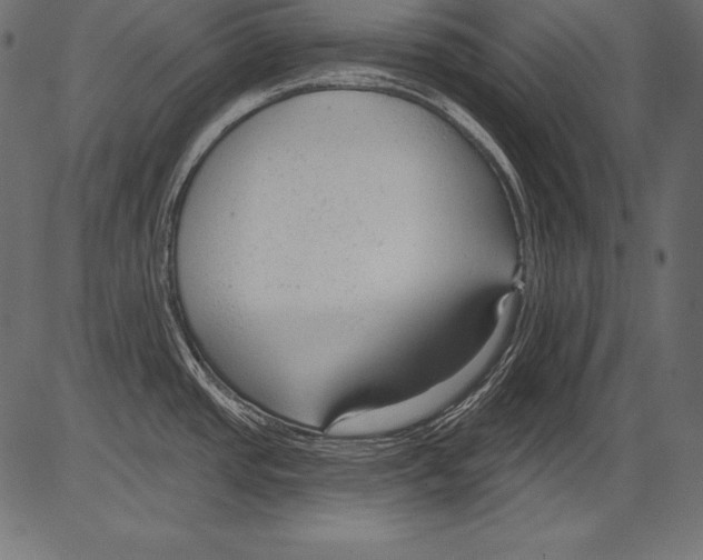 X0000081401437200702020309