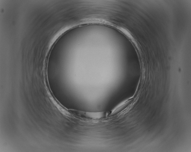 X0000081401438200702020309
