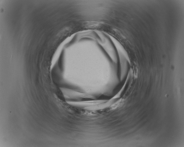 X0000081401441200702020308