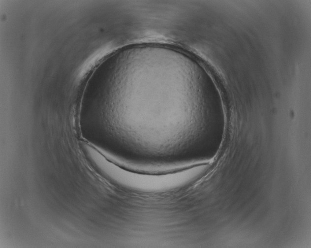 X0000081401455200702020308