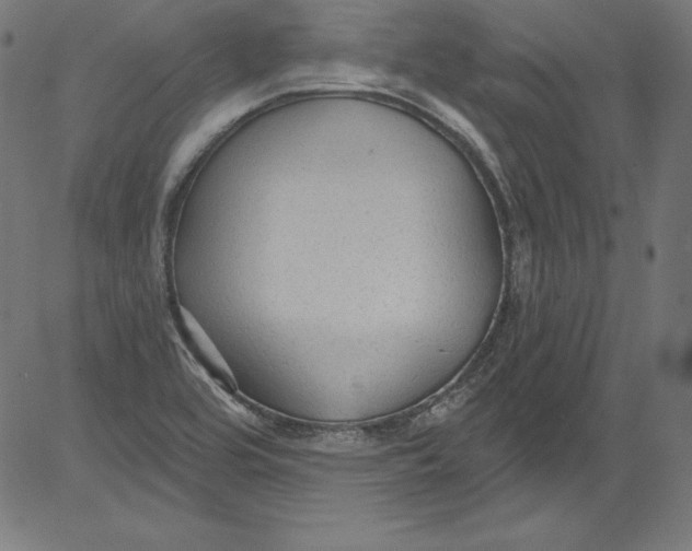 X0000081401464200702020308
