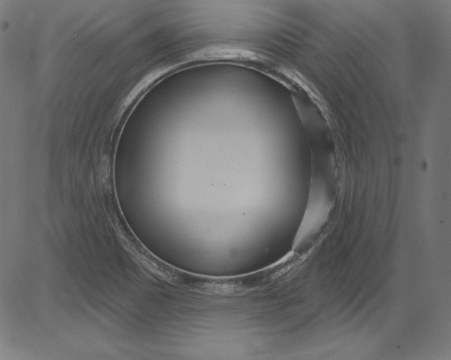 X0000081401465200702020308