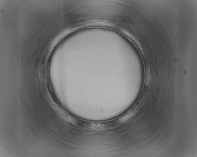 X0000081401467200702020308