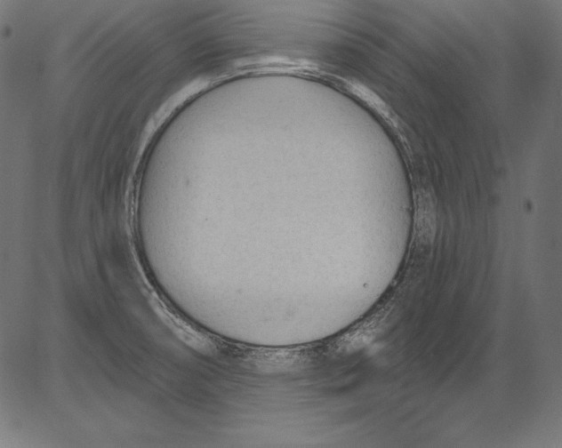 X0000081401474200702020308