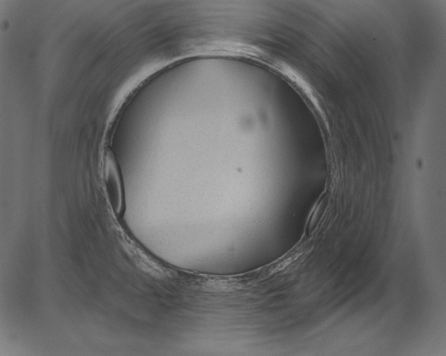 X0000081401480200702020308