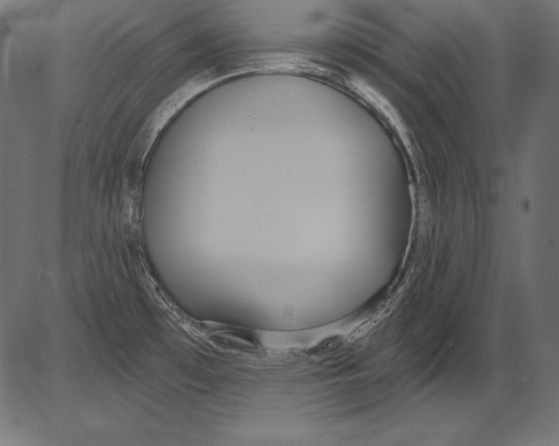 X0000081401481200702020308