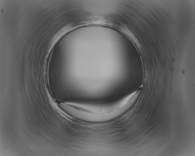 X0000081401483200702020308