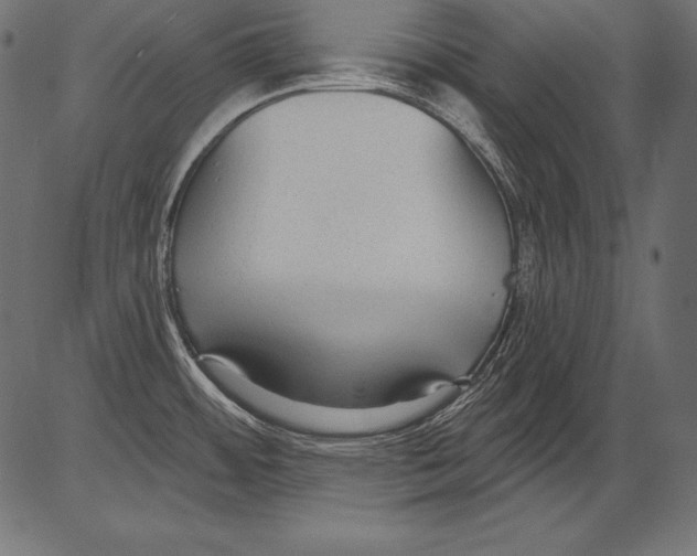 X0000081401484200702020308