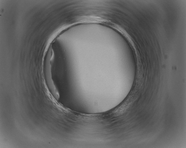 X0000081401488200702020308