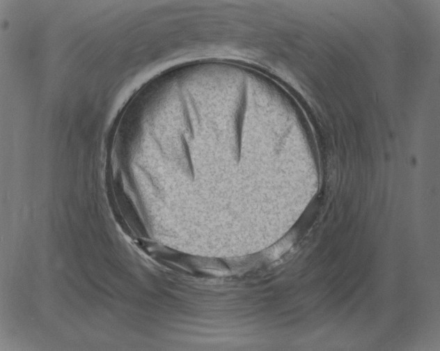 X0000081401508200702020307