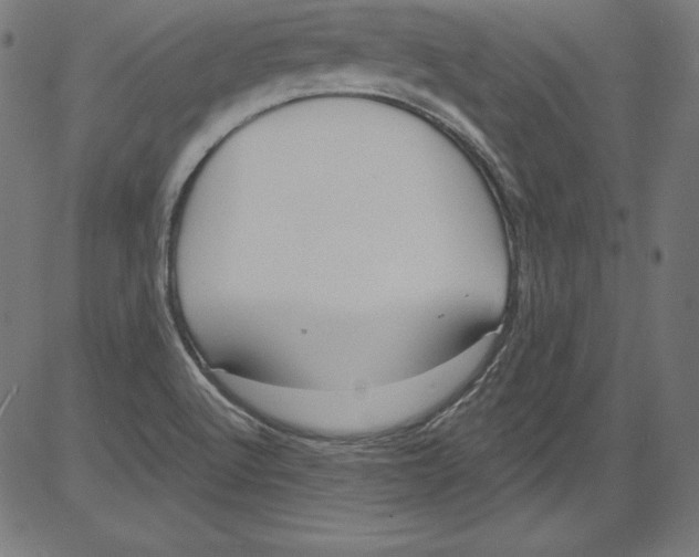 X0000081401512200702020307