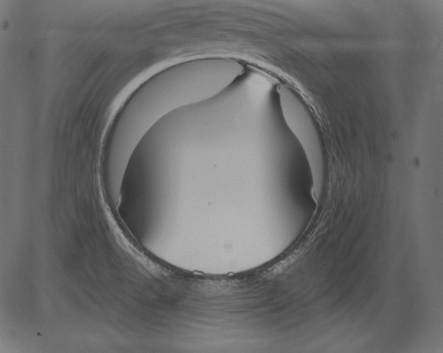 X0000081401518200702020307