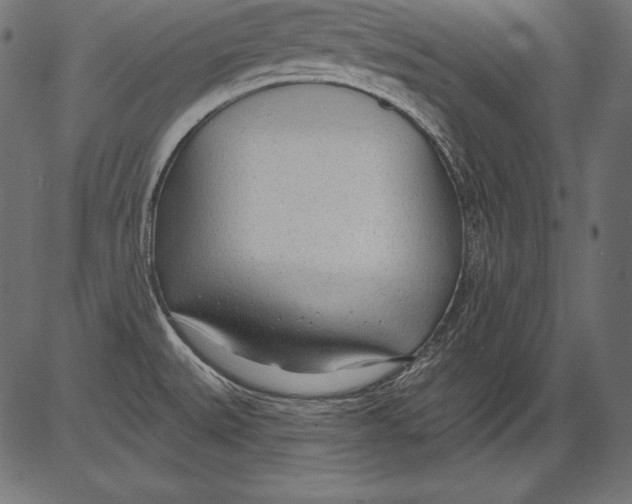 X0000081401527200702020308
