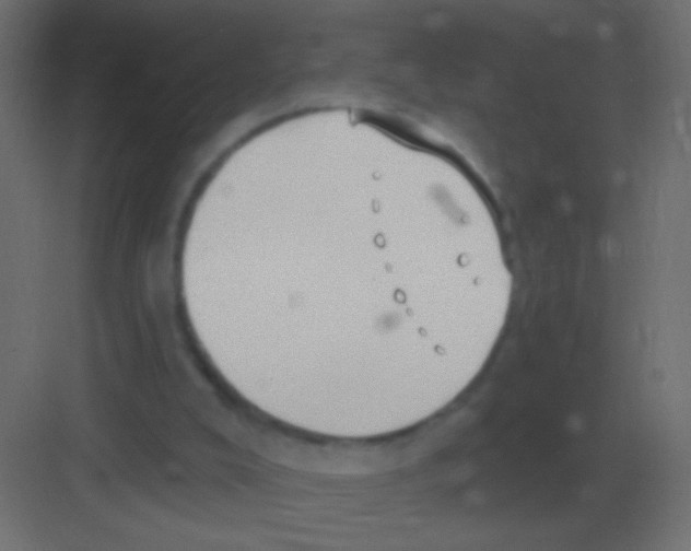 X0000081400008200702090115