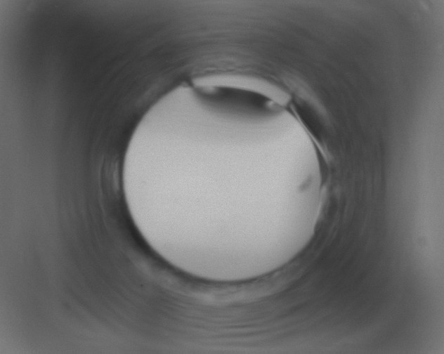 X0000081400021200702090115