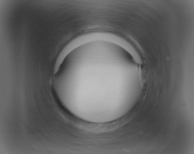 X0000081400023200702090115