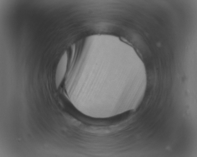 X0000081400029200702090115