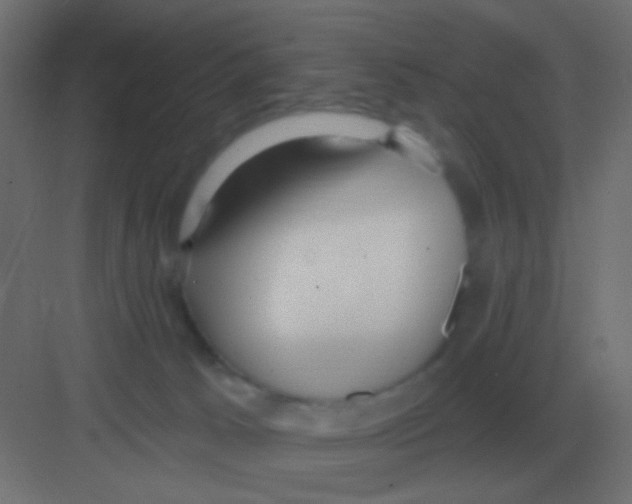 X0000081400033200702090115