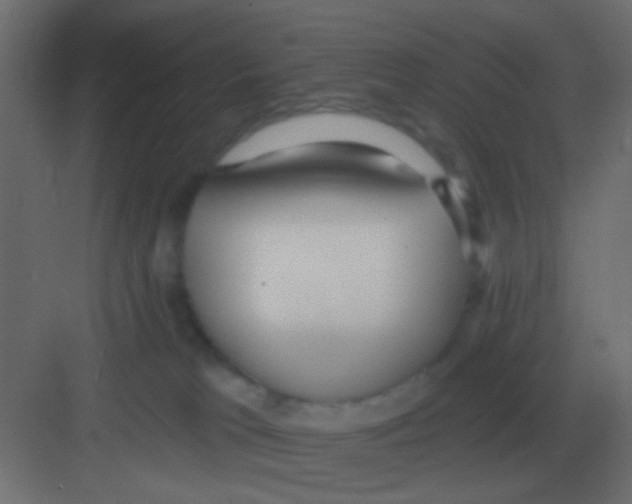 X0000081400037200702090115