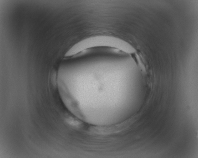 X0000081400041200702090115