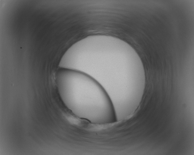 X0000081400045200702090115