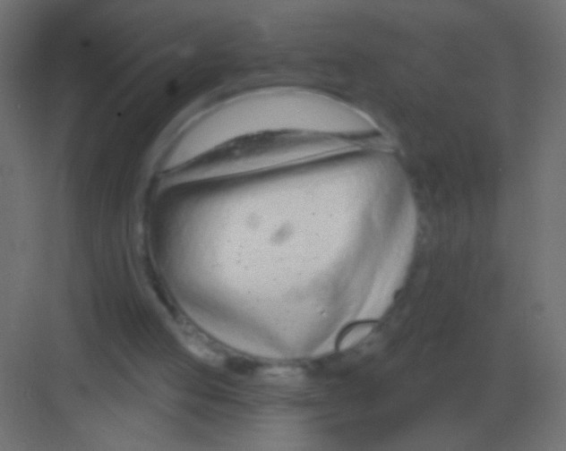 X0000081400053200702090114