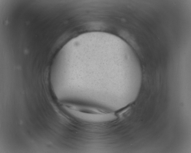 X0000081400058200702090114