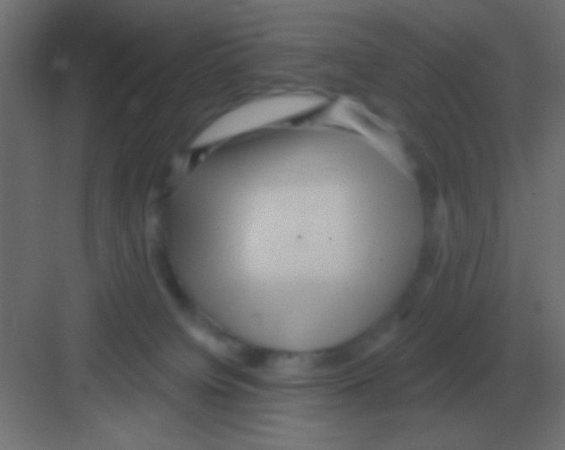 X0000081400084200702090114