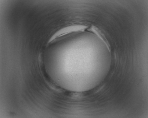 X0000081400088200702090115