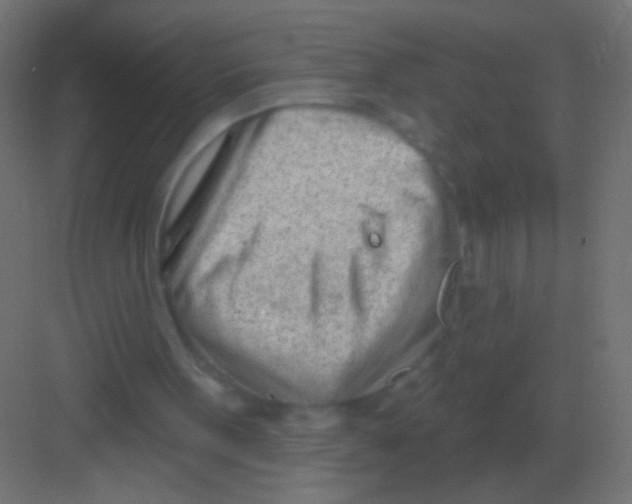 X0000081400099200702090114