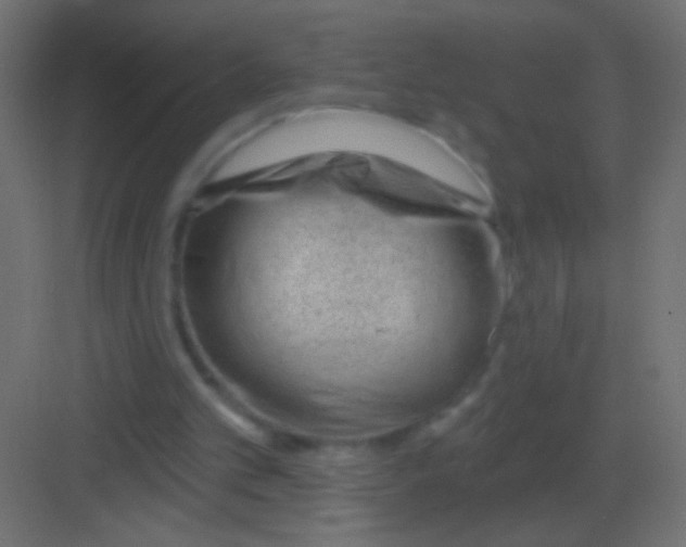 X0000081400101200702090114