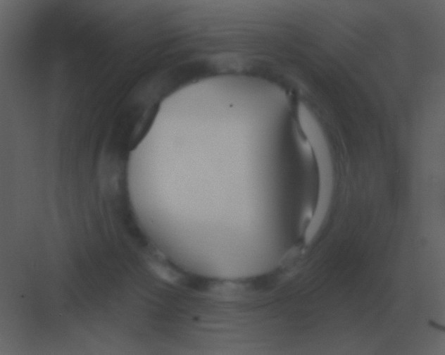 X0000081400125200702090113