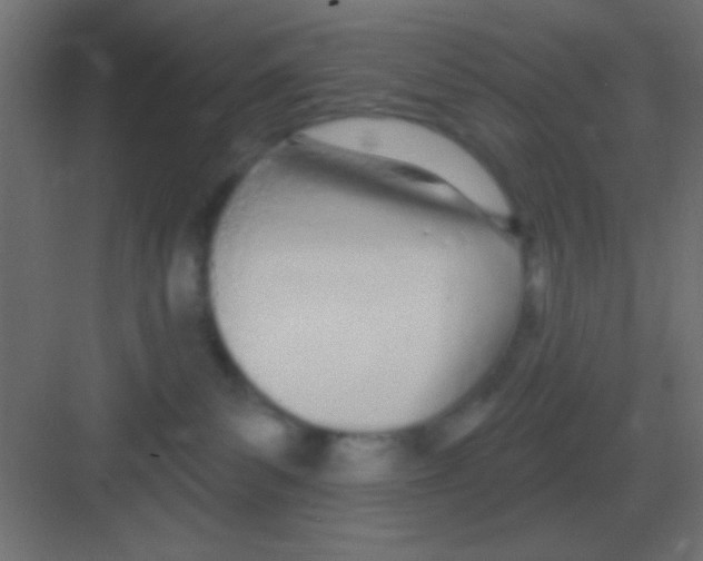 X0000081400139200702090113