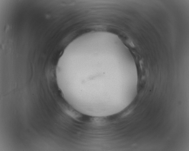 X0000081400141200702090113