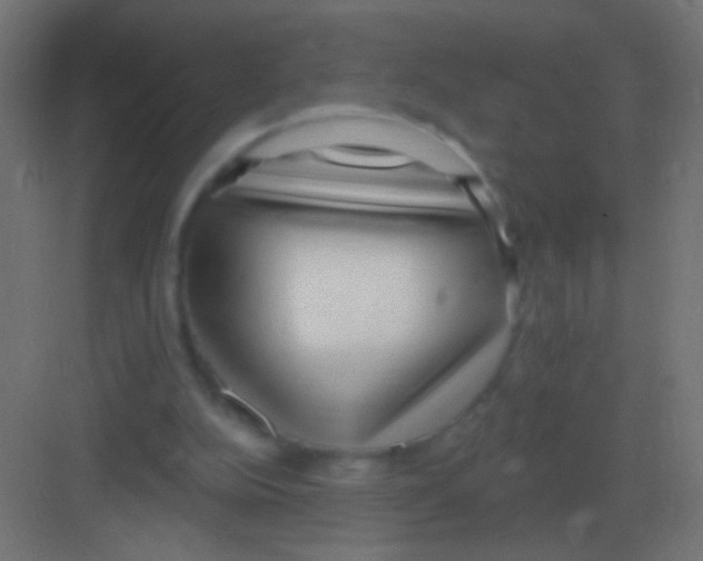 X0000081400152200702090112