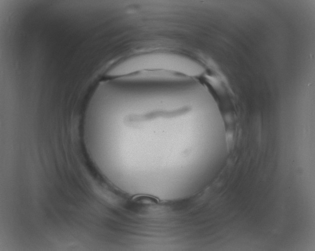 X0000081400154200702090112