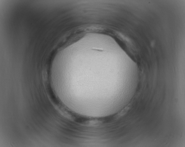 X0000081400158200702090113